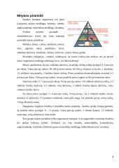 Maisto produktų derinimas 3 puslapis