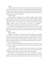 Maisto produktų derinimas 7 puslapis