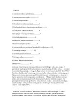 Vaikai su autizmo sutrikimu