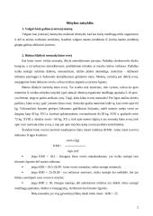 Mitybos principai ir taisyklės. Mitybos piramidė 2 puslapis