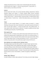 Mitybos principai ir taisyklės. Mitybos piramidė 6 puslapis