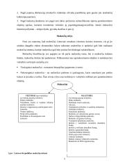 Mokesčių Lietuvoje lygis Europos Sąjungos (ES) kontekste 5 puslapis