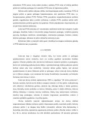 Mokesčių sistema Lietuvoje ir jos tobulinimo kryptys 12 puslapis