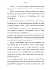 Mokesčių sistema Lietuvoje ir jos tobulinimo kryptys 17 puslapis