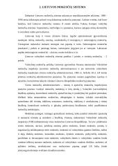 Mokesčių sistema Lietuvoje ir jos tobulinimo kryptys 6 puslapis