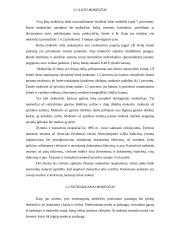 Mokesčių sistema Lietuvoje ir jos tobulinimo kryptys 10 puslapis