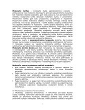 Mokesčių sistemos, jų formavimo ir vertinimo principai 7 puslapis