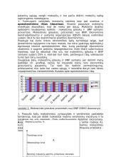 Mokesčių sistemos, jų formavimo ir vertinimo principai 10 puslapis