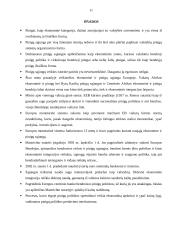 Monetarinė politika Europoje 11 puslapis