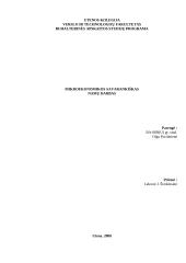 Monopolija - teorinė ir praktinė dalys