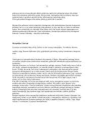 Monopolija - teorinė ir praktinė dalys 11 puslapis