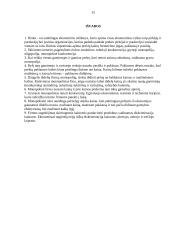 Monopolija - teorinė ir praktinė dalys 15 puslapis