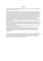 Monopolija - teorinė ir praktinė dalys 3 puslapis