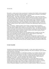 Monopolija - teorinė ir praktinė dalys 4 puslapis