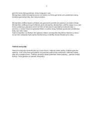 Monopolija - teorinė ir praktinė dalys 5 puslapis