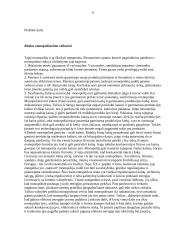 Monopolija - teorinė ir praktinė dalys 6 puslapis