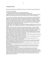 Monopolija - teorinė ir praktinė dalys 8 puslapis