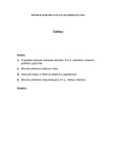 Monro doktrina (Monroe Doctrine) ir jos interpretacijos 2 puslapis