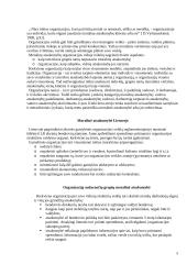 Moralinė ir socialinė organizacijos atsakomybė 5 puslapis