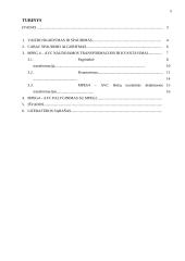 MPEG4 – AVC standartas naudojamas Lietuvoje. MPEG4 palyginimas su MPEG2