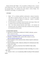 MPEG4 – AVC standartas naudojamas Lietuvoje. MPEG4 palyginimas su MPEG2 14 puslapis