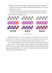MPEG4 – AVC standartas naudojamas Lietuvoje. MPEG4 palyginimas su MPEG2 4 puslapis