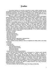 Nacionalinio biudžeto kilmė, sudėtis bei balansas 3 puslapis