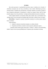 Nacionalizmo, valstybės ir tautos tarpusavio priklausomybė 3 puslapis