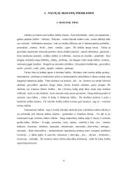 Naujųjų skolinių problemos 2 puslapis