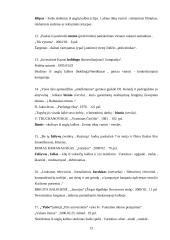 Naujųjų skolinių problemos 11 puslapis