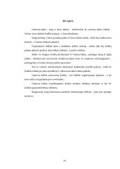 Naujųjų skolinių problemos 12 puslapis