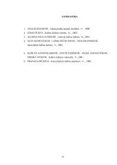 Naujųjų skolinių problemos 13 puslapis