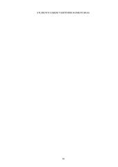 Naujųjų skolinių problemos 14 puslapis