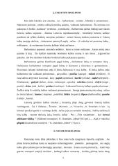 Naujųjų skolinių problemos 3 puslapis