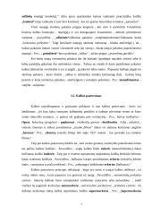 Naujųjų skolinių problemos 5 puslapis