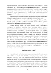 Naujųjų skolinių problemos 7 puslapis