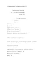 AB “X” rašvedybos sistemos analizė