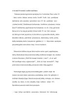 CV ir motyvacinio laiško rašymo principas