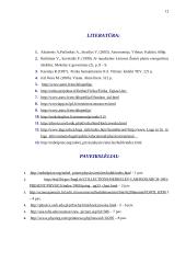 Neutrinai ir jų įtaka 12 puslapis