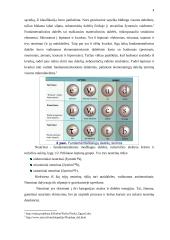 Neutrinai ir jų įtaka 4 puslapis