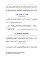 Neutrinai ir jų įtaka 5 puslapis