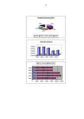 Nusikaltimų statistika 12 puslapis