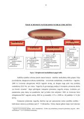Nusikaltimų statistika 8 puslapis