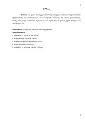 Organizacinė kultūra ir jos funkcijos 2 puslapis