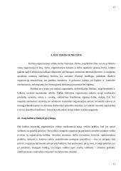 Organizacinė kultūra ir jos funkcijos 11 puslapis