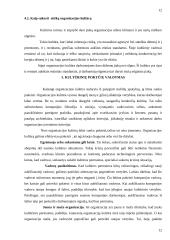 Organizacinė kultūra ir jos funkcijos 12 puslapis