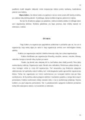 Organizacinė kultūra ir jos funkcijos 13 puslapis