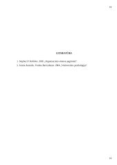 Organizacinė kultūra ir jos funkcijos 14 puslapis