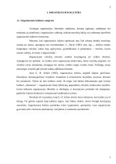 Organizacinė kultūra ir jos funkcijos 3 puslapis