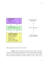 Organizacinė kultūra ir jos funkcijos 4 puslapis